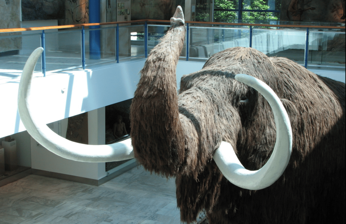 Model mamuta srstnatého v Pavilonu Anthropos