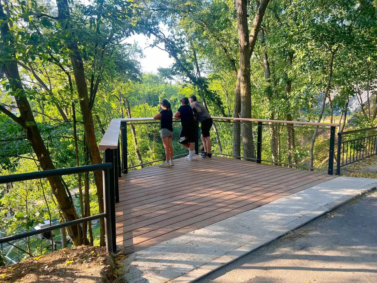 Lední medvědice mají v Zoo Brno novou vyhlídku