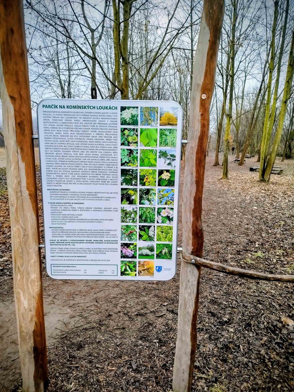 Parčík na Komínských loukách