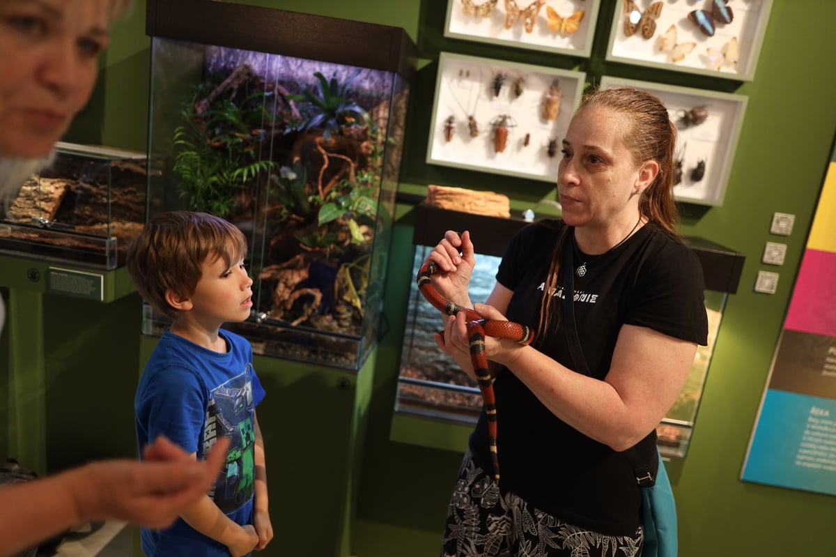 Tisíc tváří Amazonie