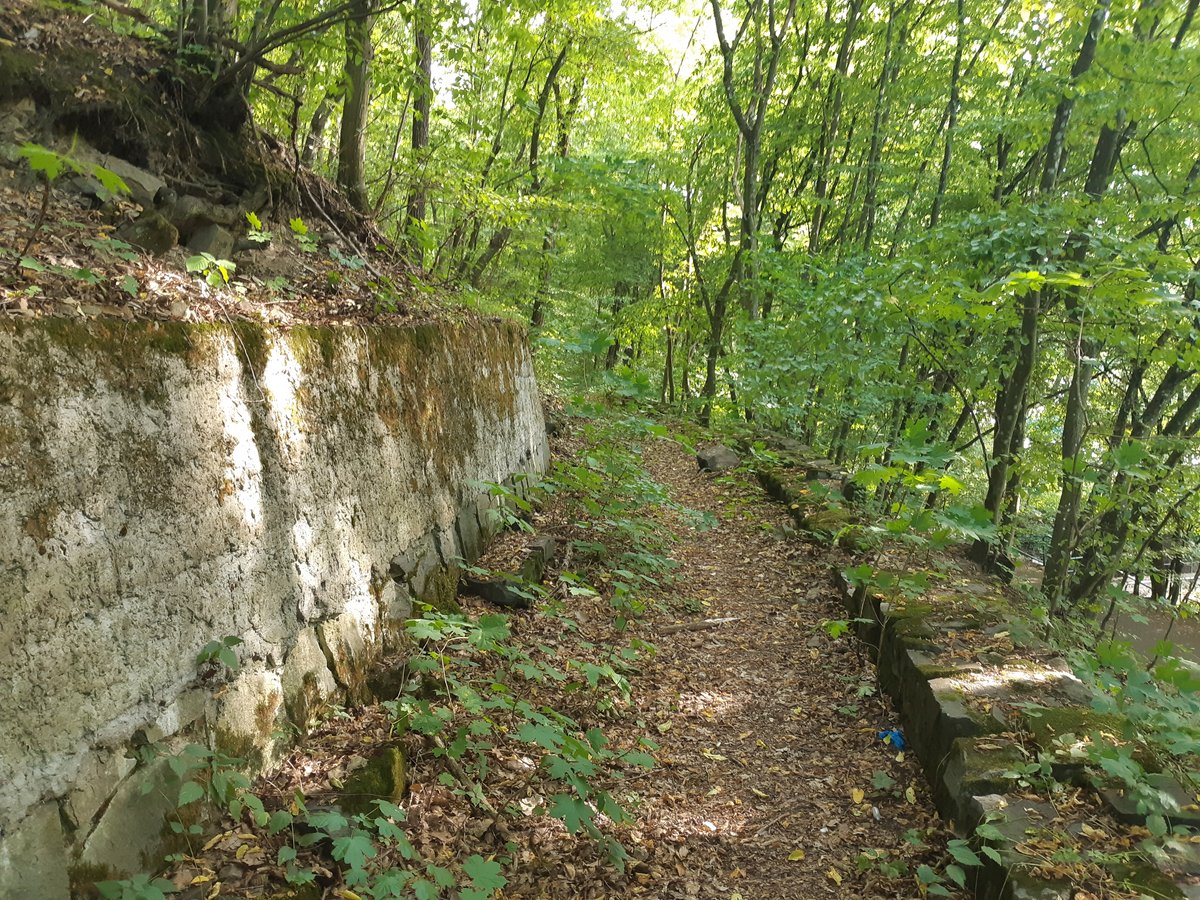 Cesta na VIP tribunu.