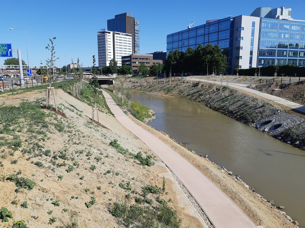 Náplavka, foceno 1. 7. 2025.