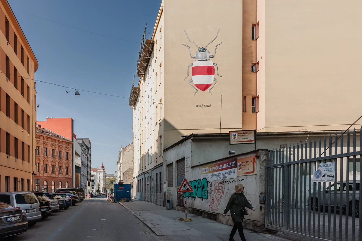 Městská galerie na Cejlu