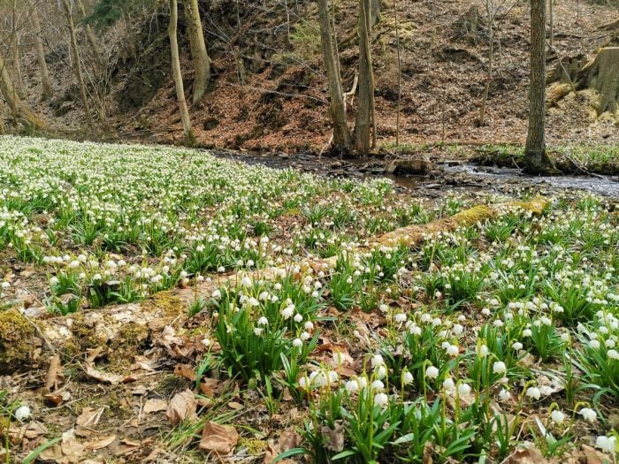 Nalaďte se na brzké jaro