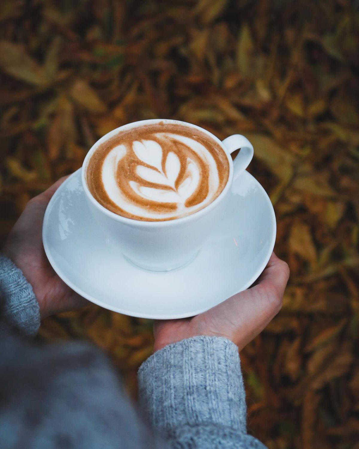 Pumpkin Spice Cappuccino nabízí za 85 korun, Pumpkin Spice Latte za 95 korun. 