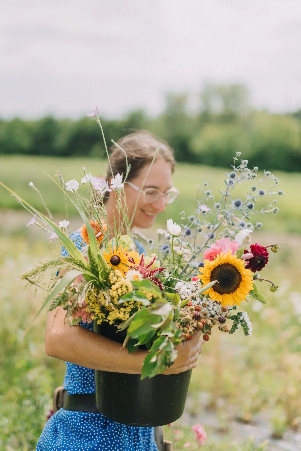 Zahradní kvítí Brno