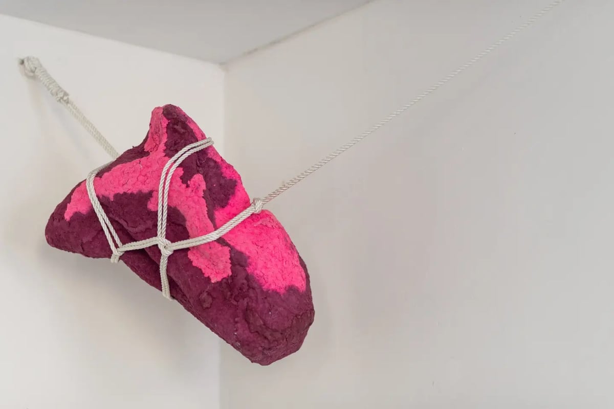 Výstava Body Memory Pavlíny Temcsákové, 2023