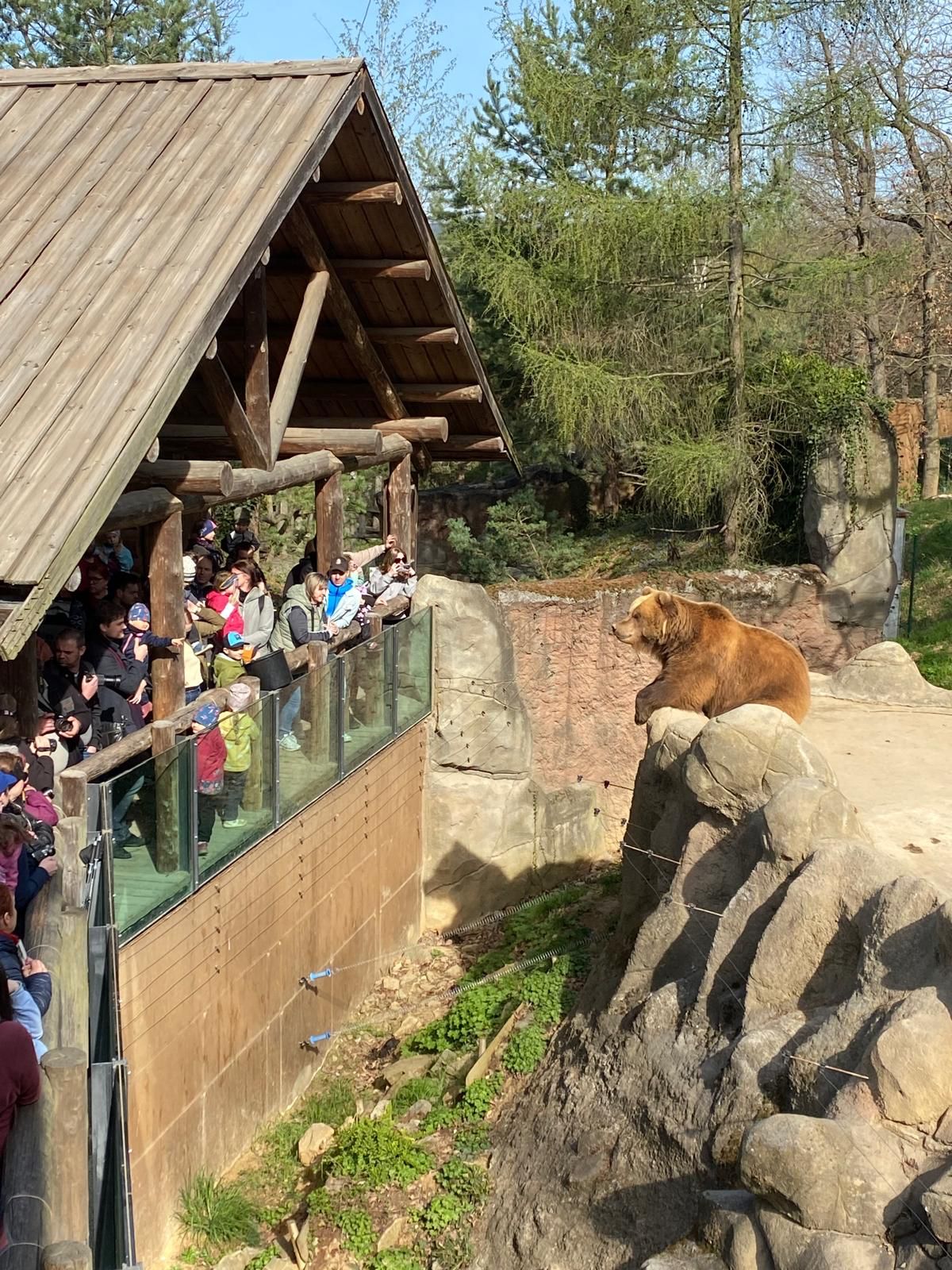 Návštěvníci se loučí s medvědicí Irinou
