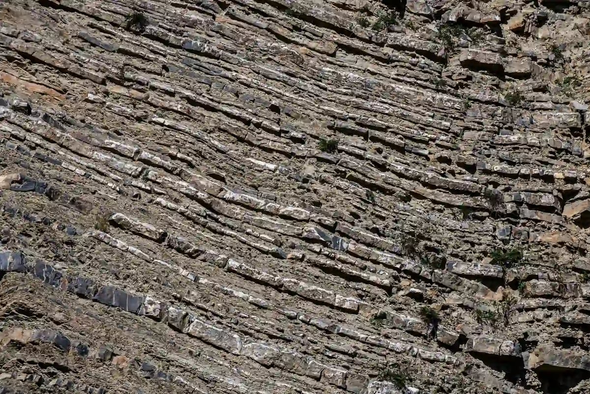 Hády kdysi bývaly pod mořskou hladinou