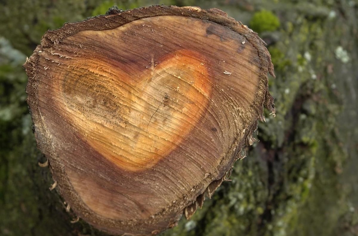 Uvidíte více než 600 exponátů