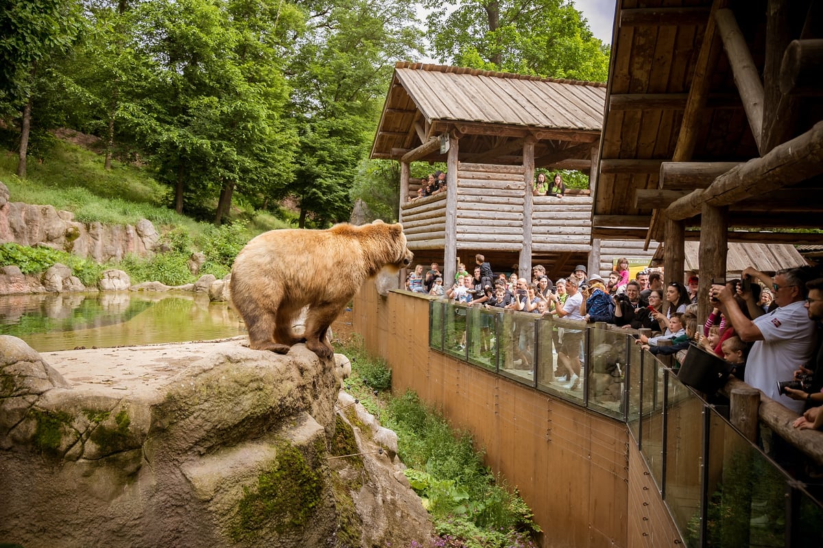 Děti se v Zoo Brno rozhodně nudit nebudou.