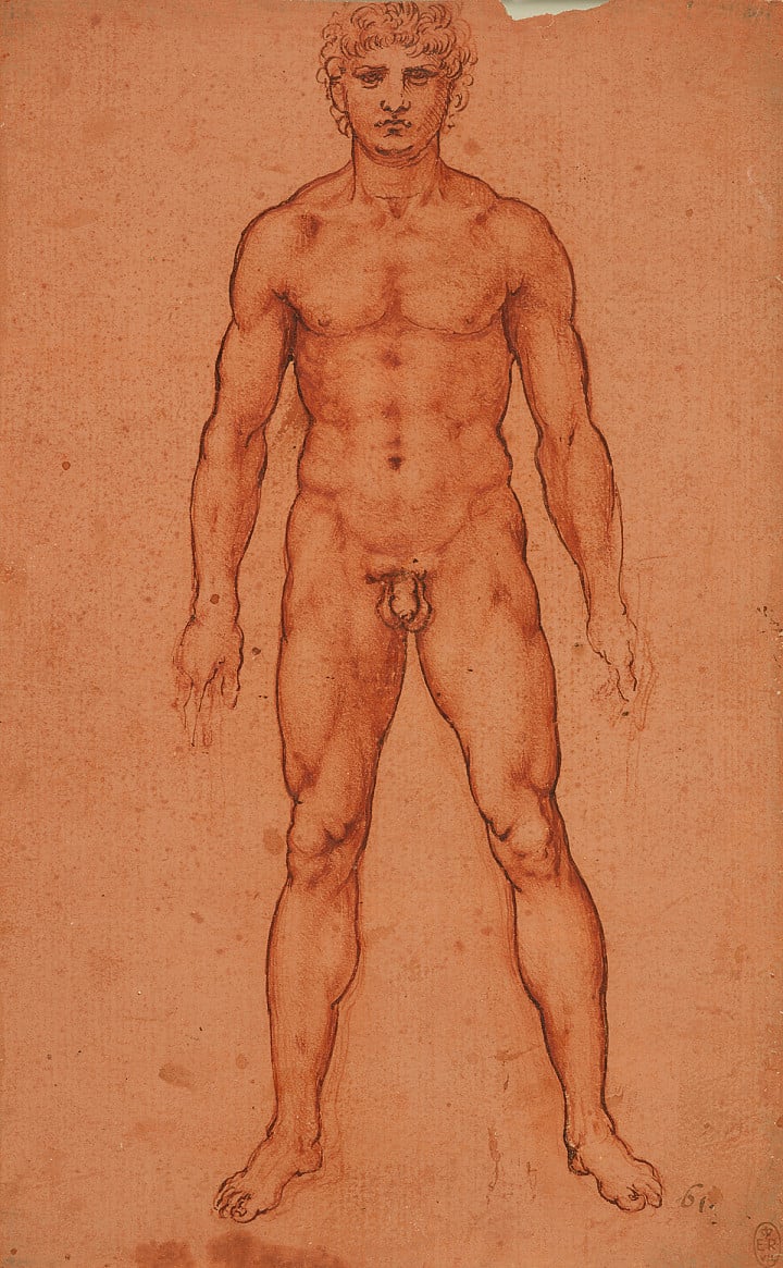 Leonardo da Vinci, Stojící mužský akt, 1503–1506