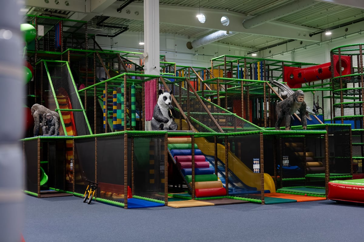 Vaše děti z Bonga nebudou chtít odejít.