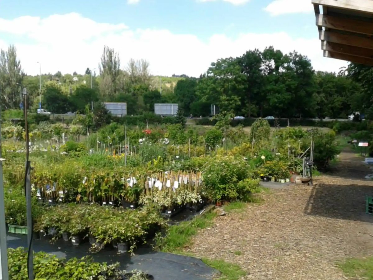 Zahradnictví u Mašků