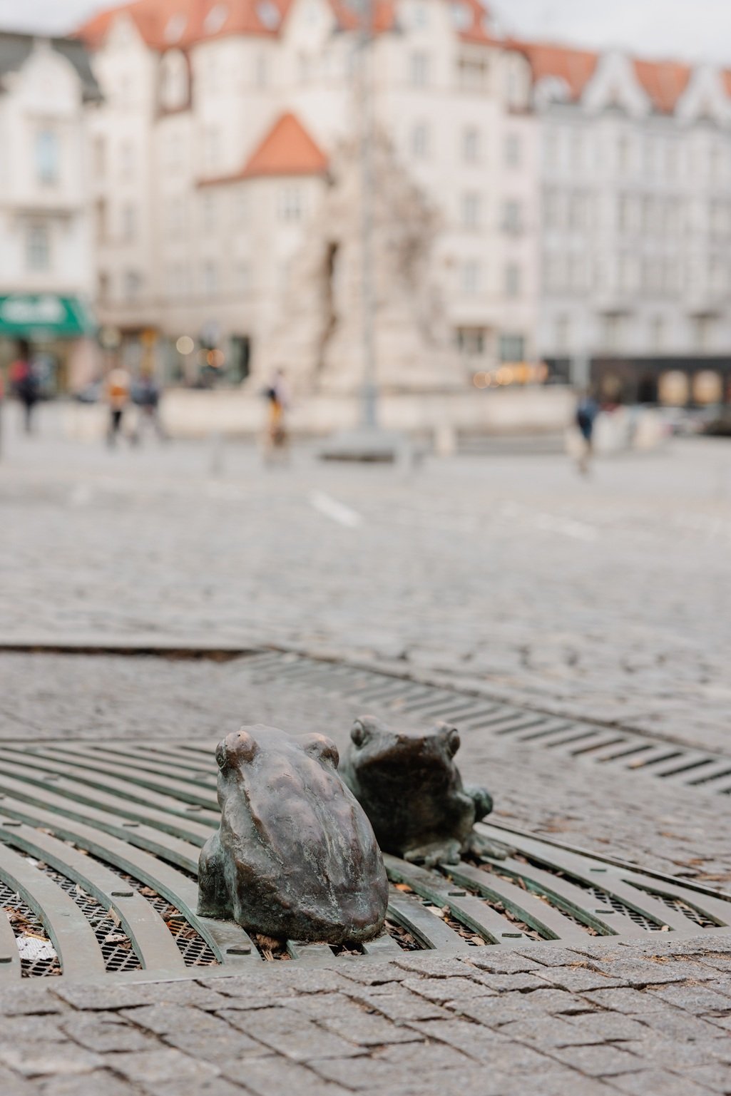 Sošky obojživelníků na Zelňáku