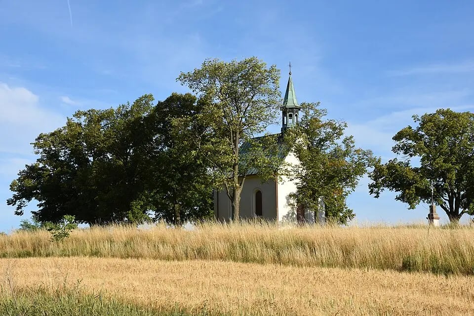 Líšeň