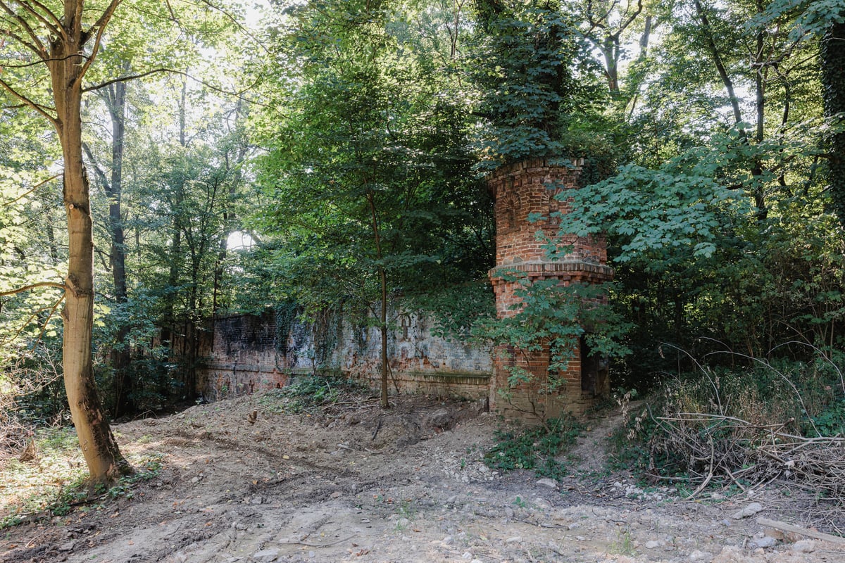 Zbytky střelnice v lese u Anthroposu