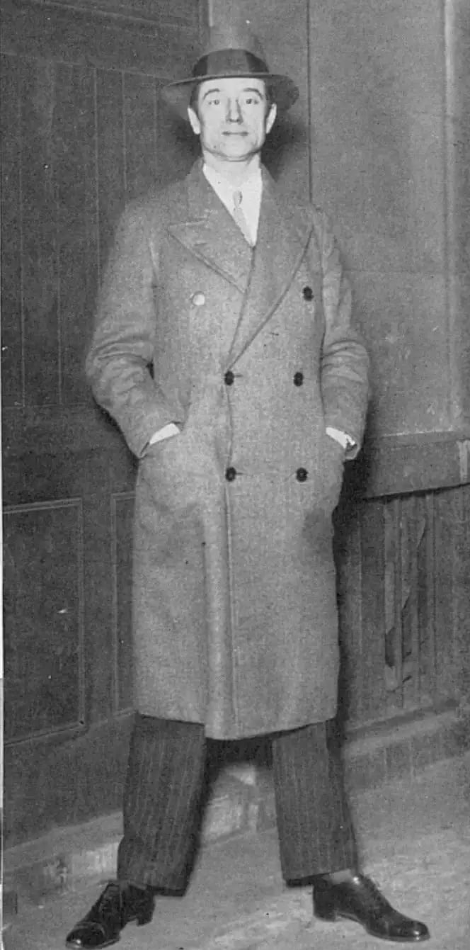 Rodina Löw-Beer najala detektiva Paula Dukese, aby prošetřil zmizení Alfreda Löw-Beera