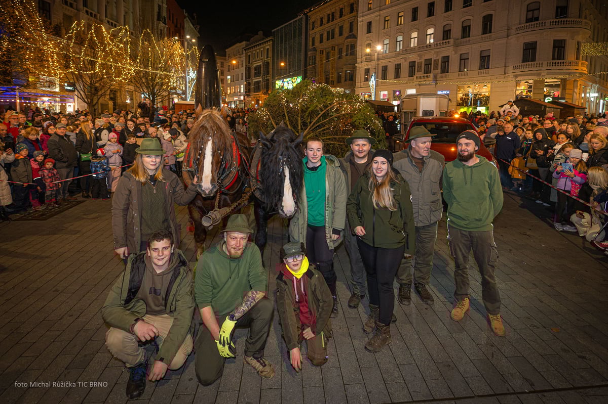 Tradiční událostí, na kterou se každoročně těší stovky lidí, je převoz stromu do centra Brna.