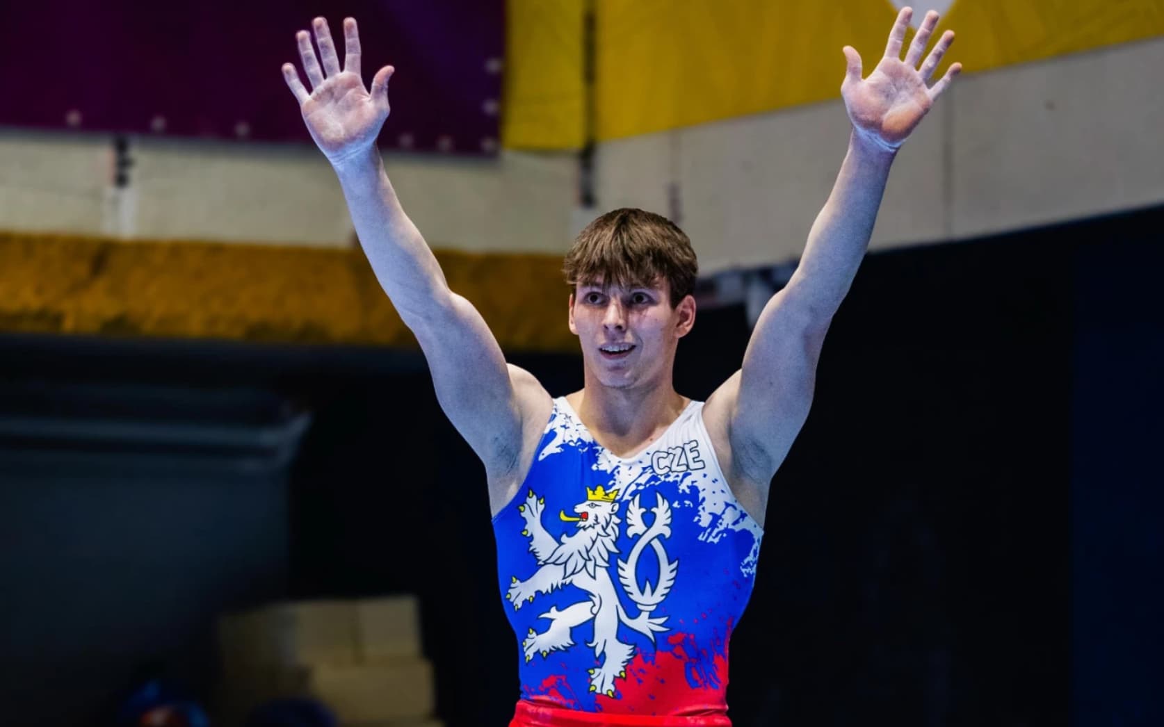 Gymnastika Sokol Brno I