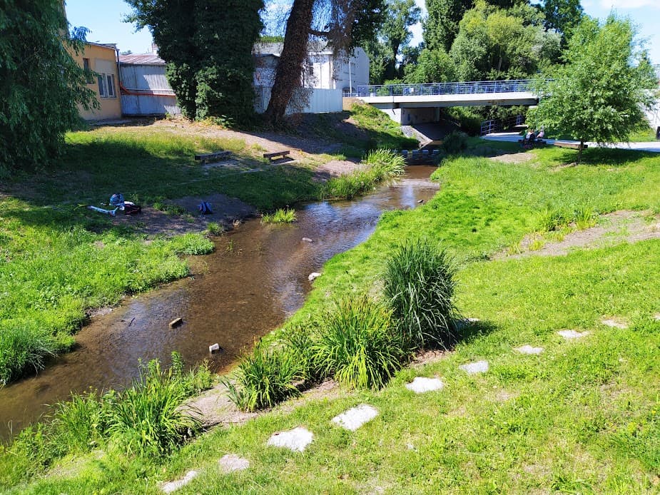 Obrázek