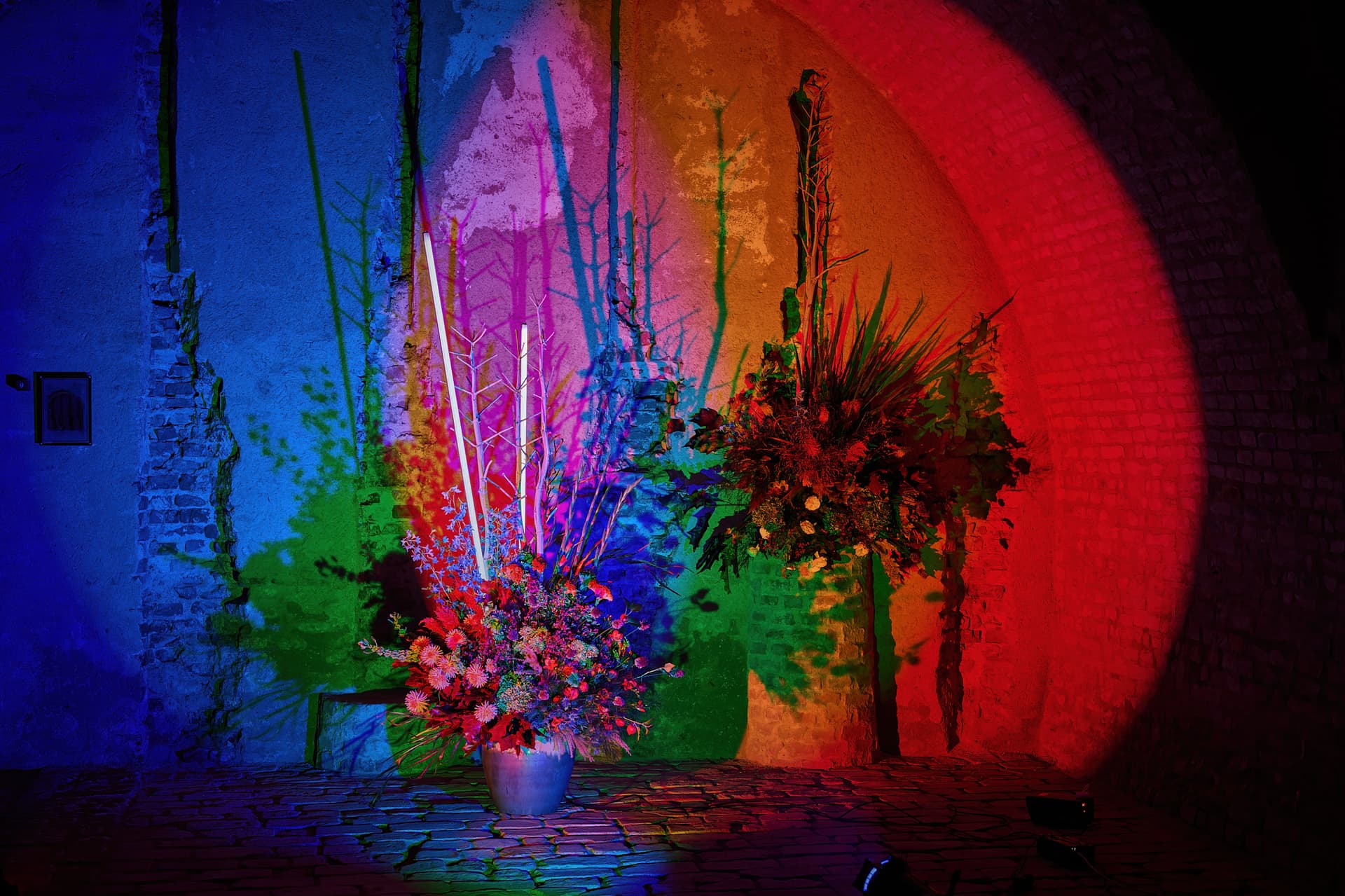 Flowers & Lights