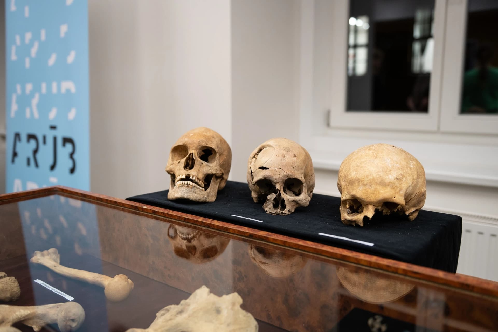 Archeologický ústav AV ČR