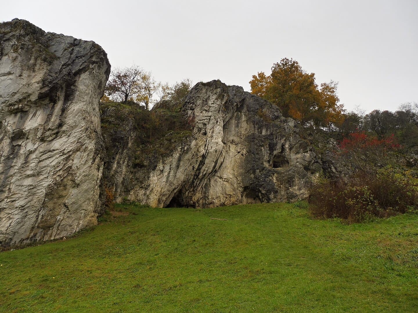 Obrázek
