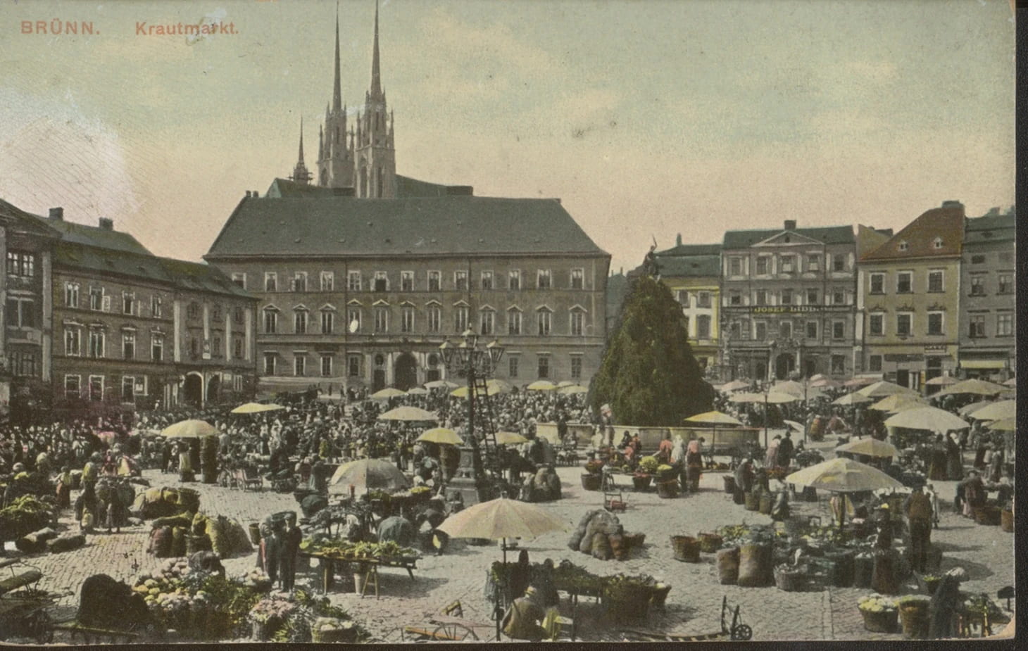 Parnas se zelenal a u Reduty pranýřovali zločince. Perličky z historie Zelňáku