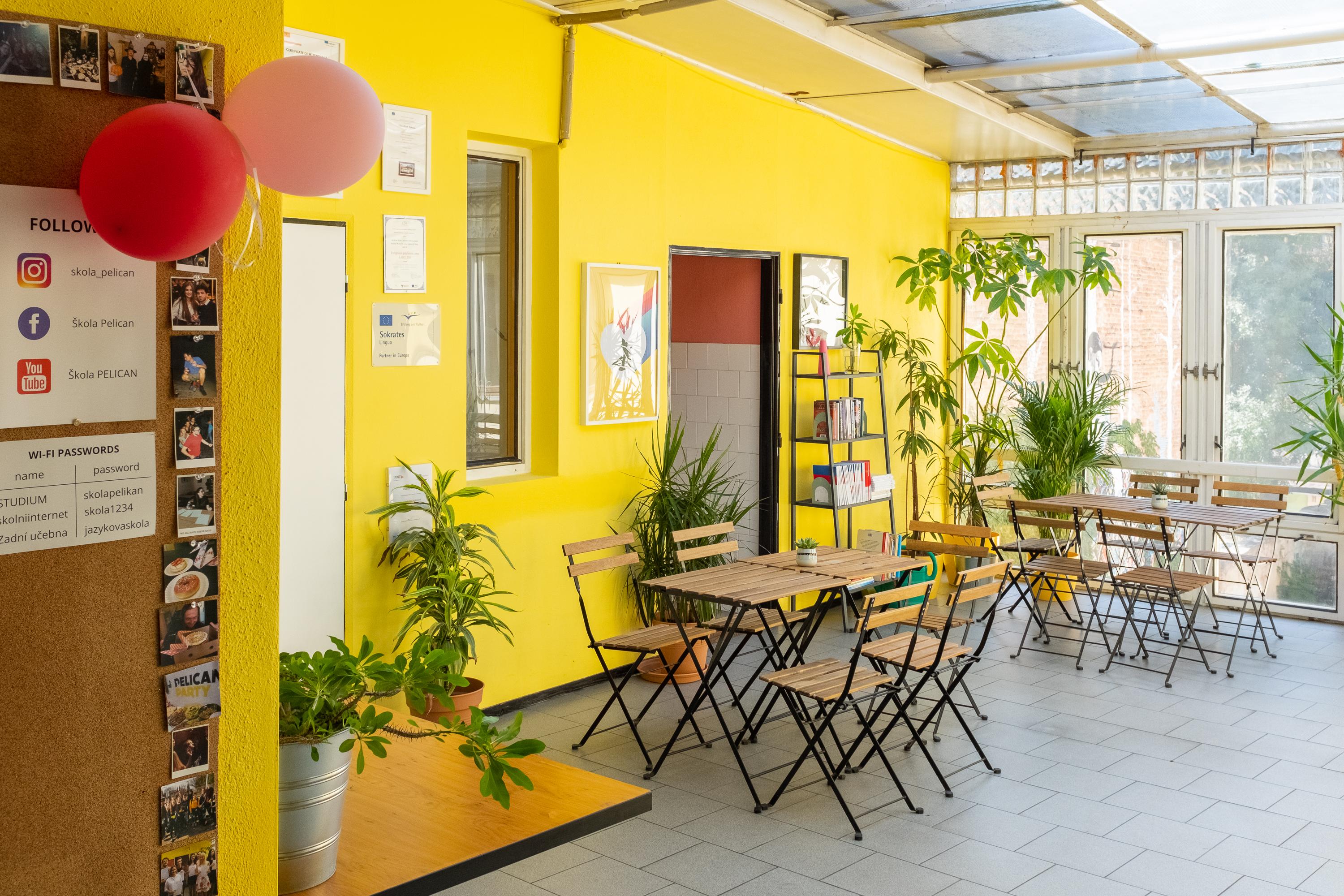 Čeká vás intenzivní výuka