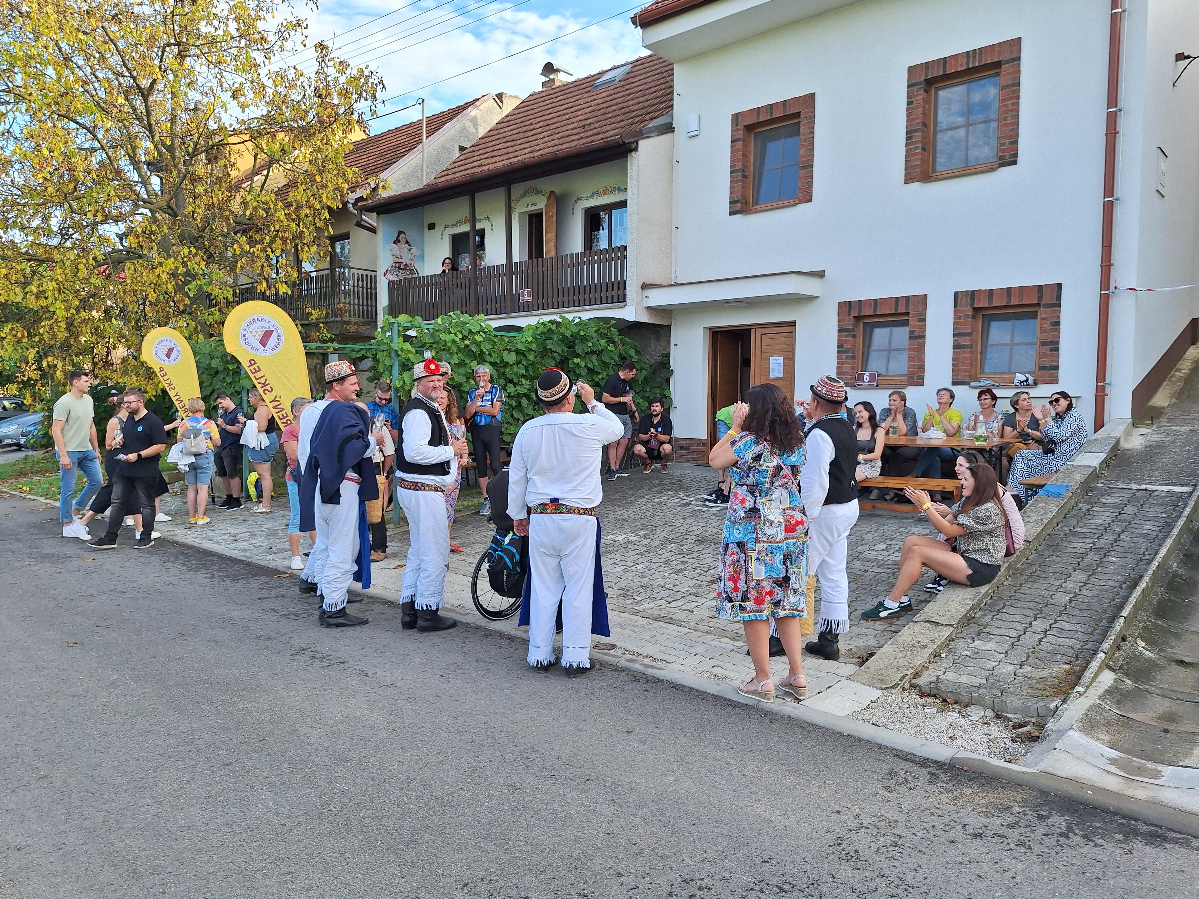 Obrázek