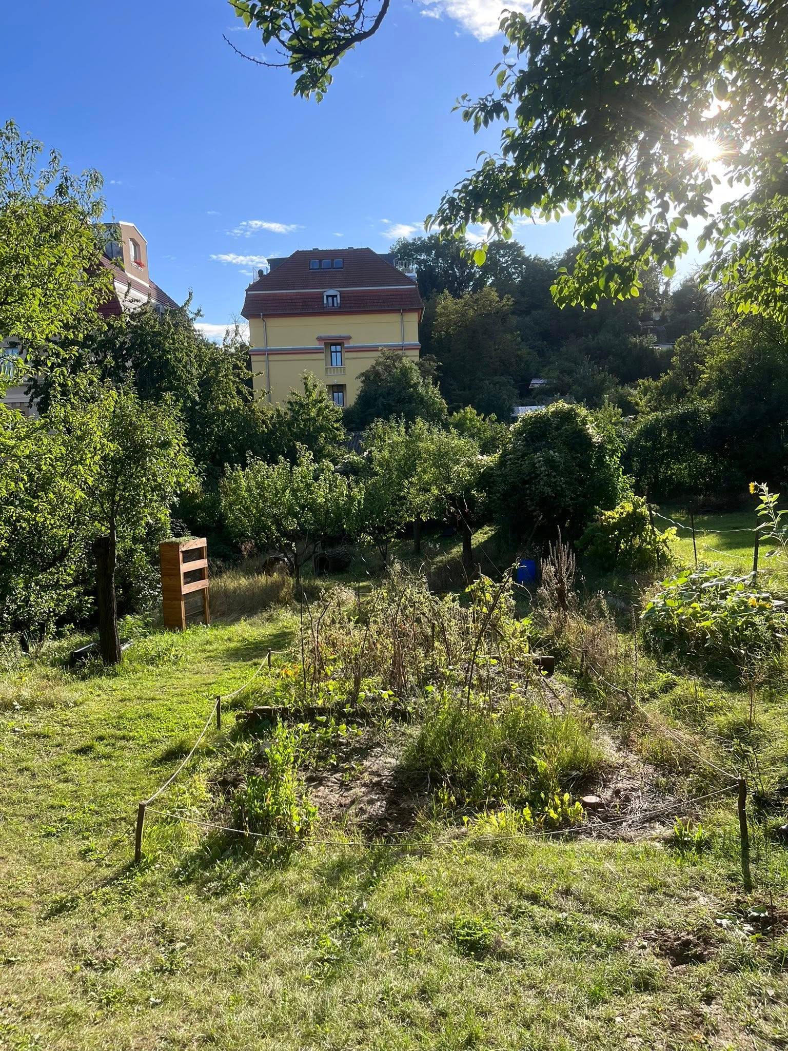 Obrázek
