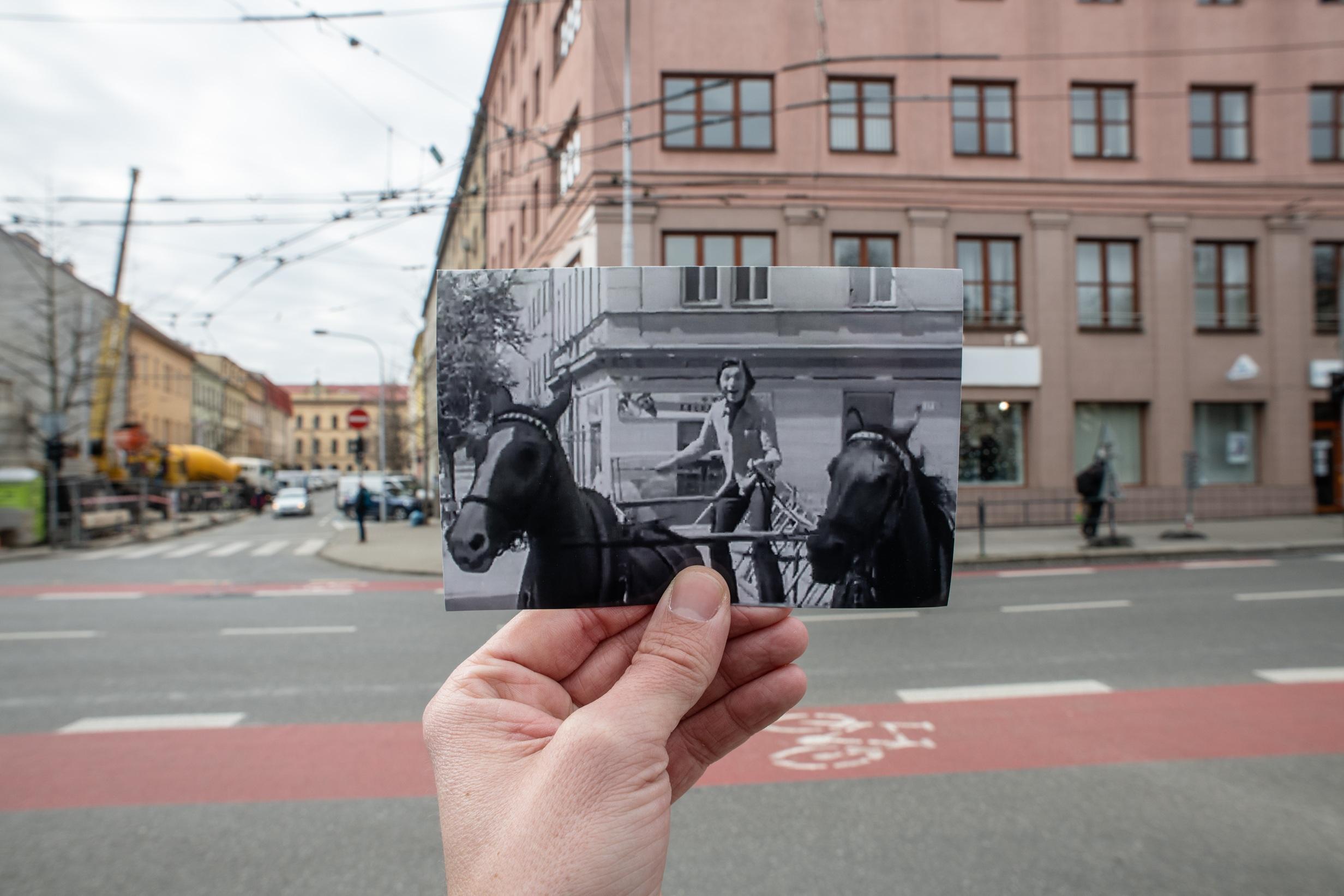 Kounicova, Gott - party