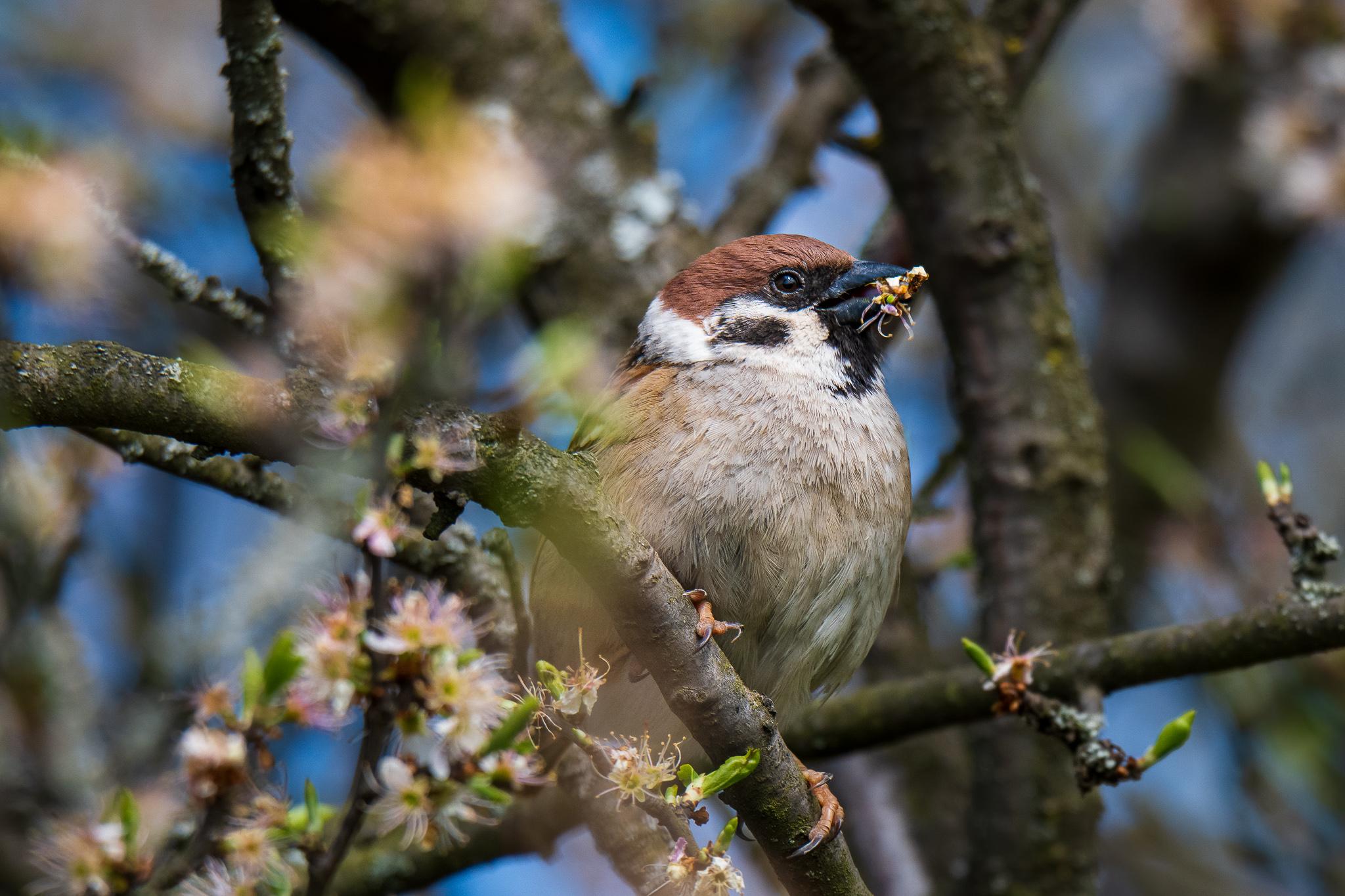 Brněnská džungle volá: Staň se lovcem!