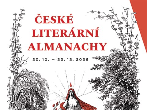 Obrázek