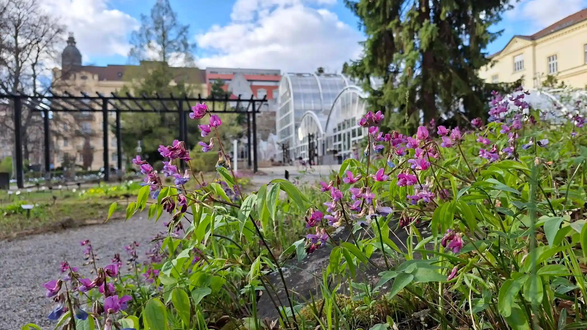Botanická zahrada PřF MU Brno