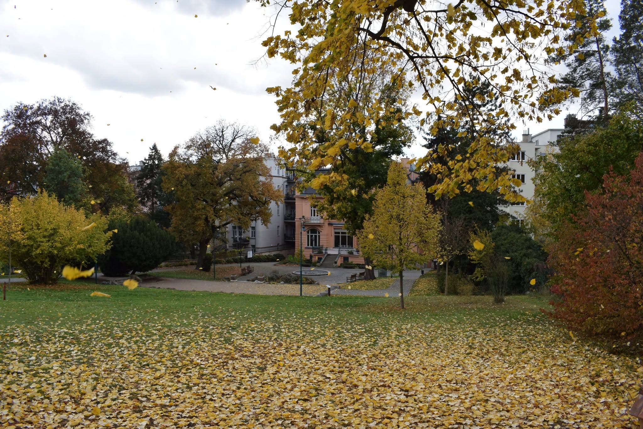 Obrázek