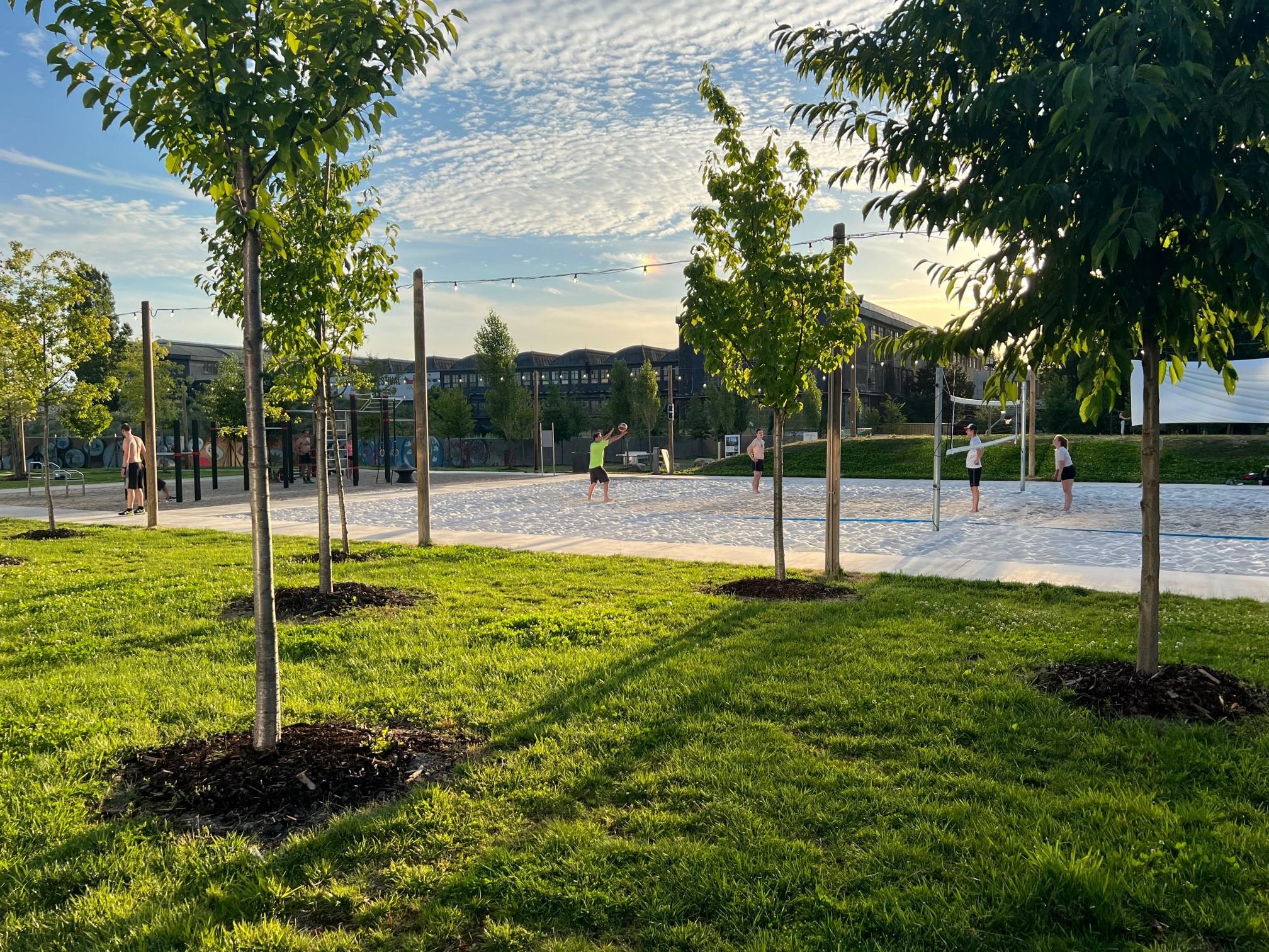 Sportovní vyžití v areálu Nová Zbrojovka