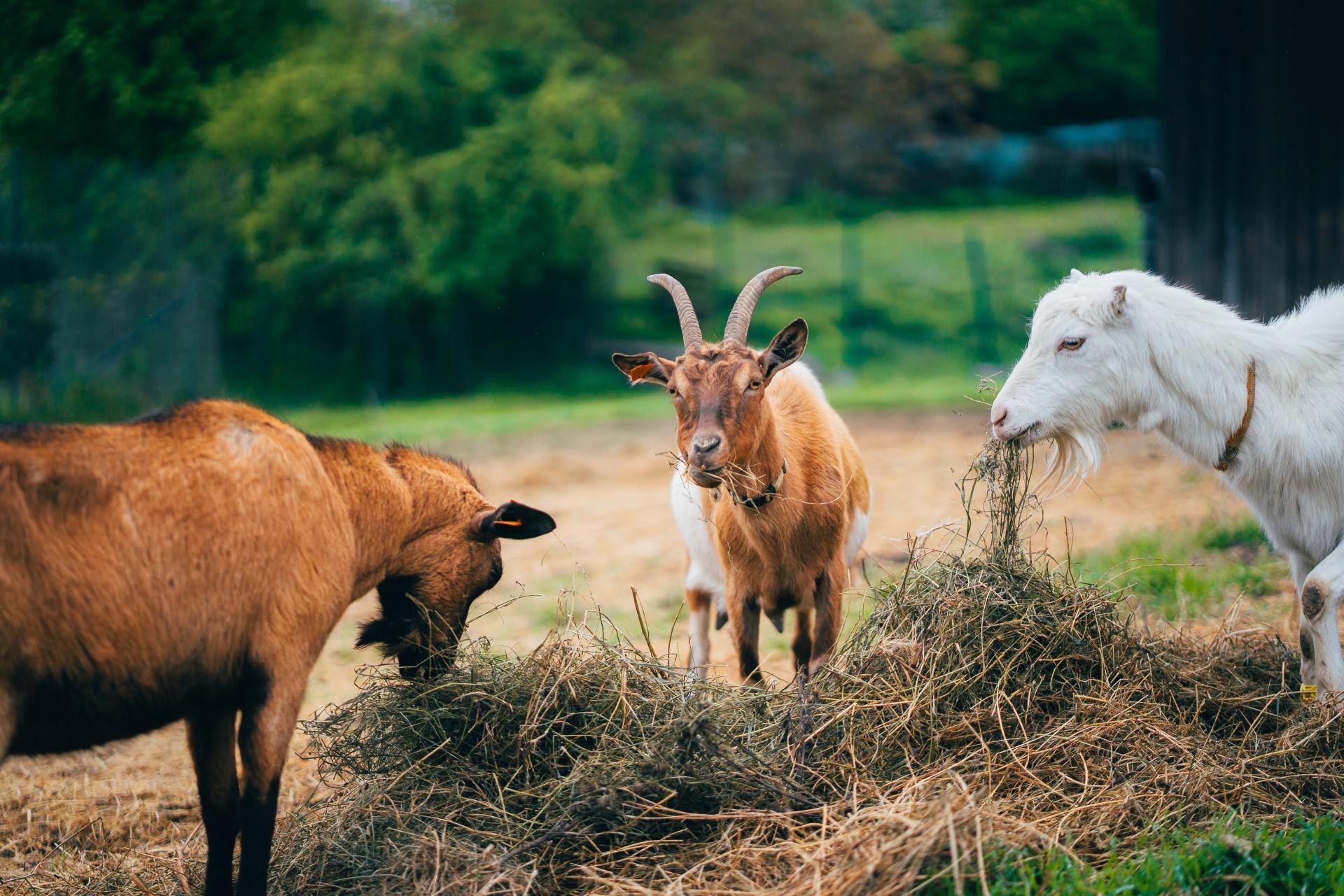 Víkendové tipy na výlet