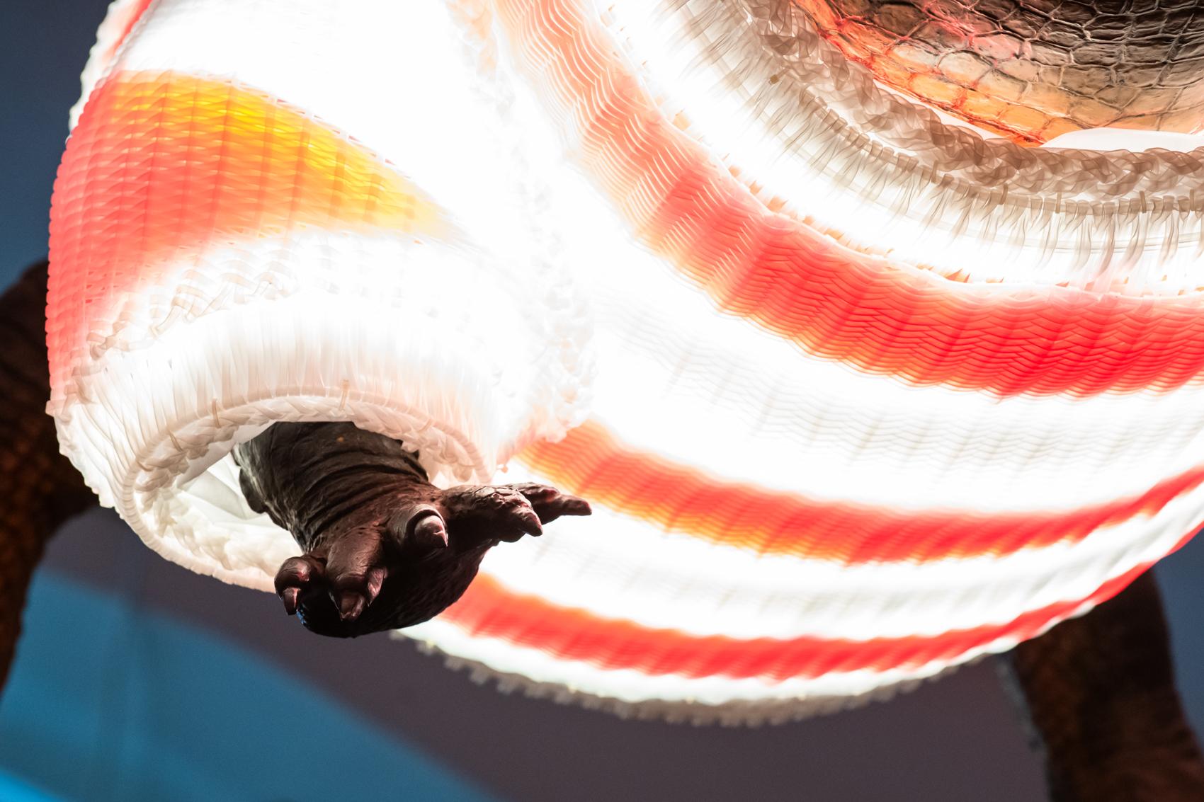 Vánoční drak ve svetru je symbolem Brněnských Vánoc