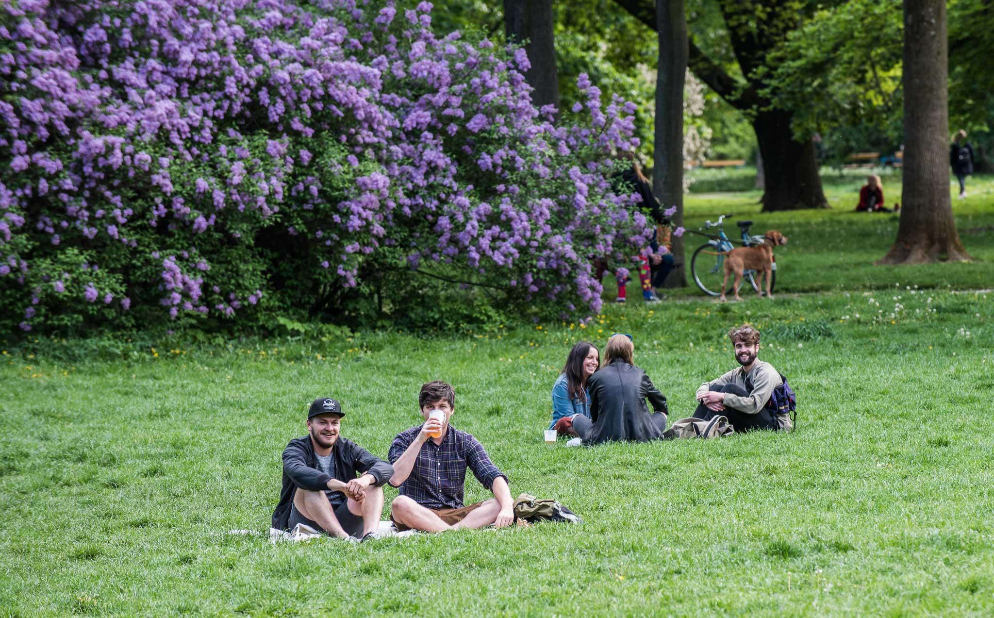 Brno na dece: Průvodce piknikovými místy