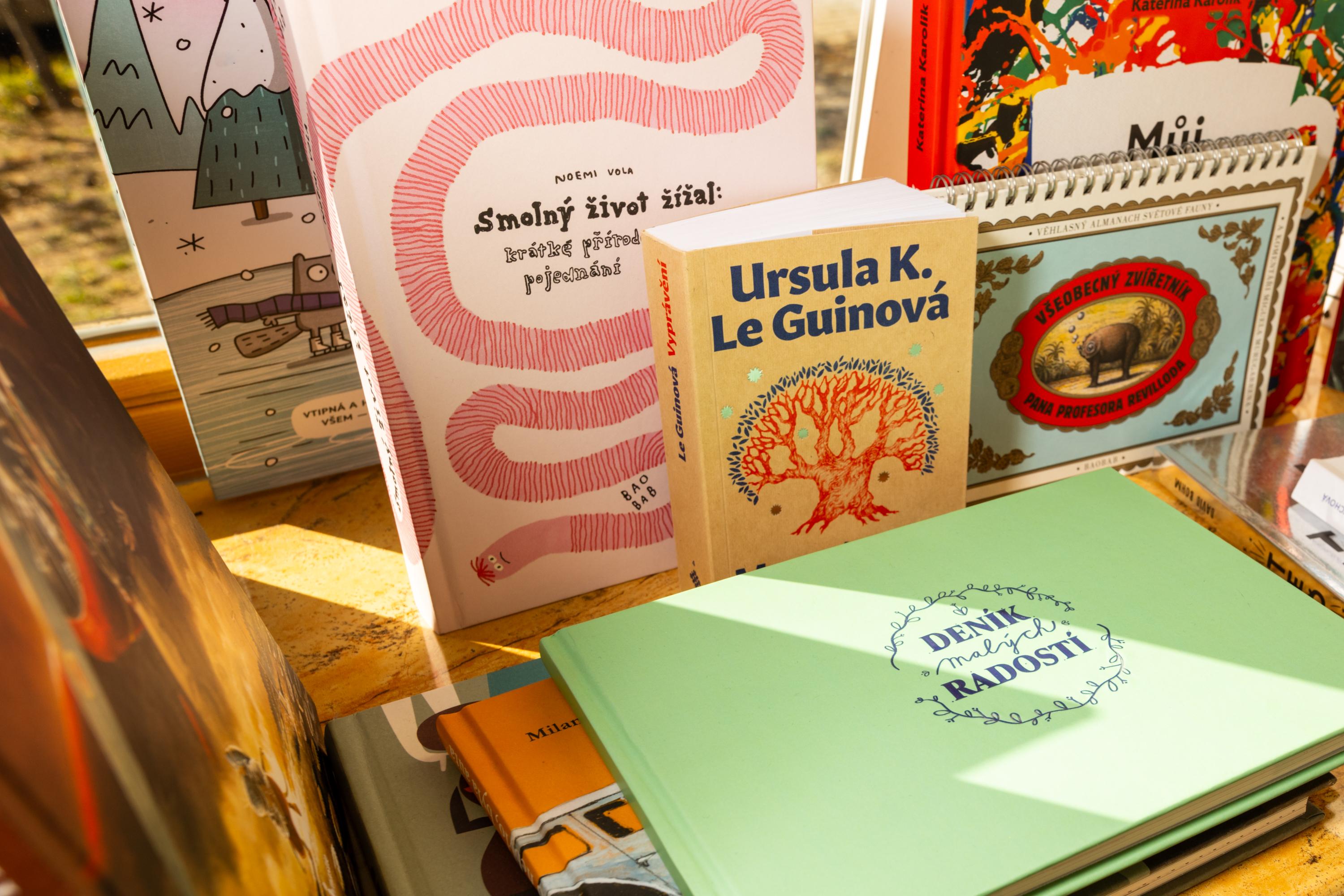 Knihkupectví Dlouhá punčocha