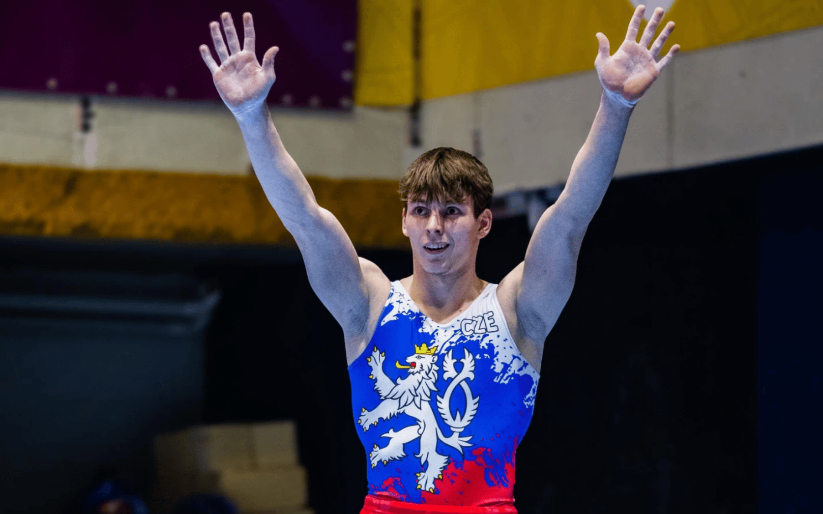 Gymnastika Sokol Brno I