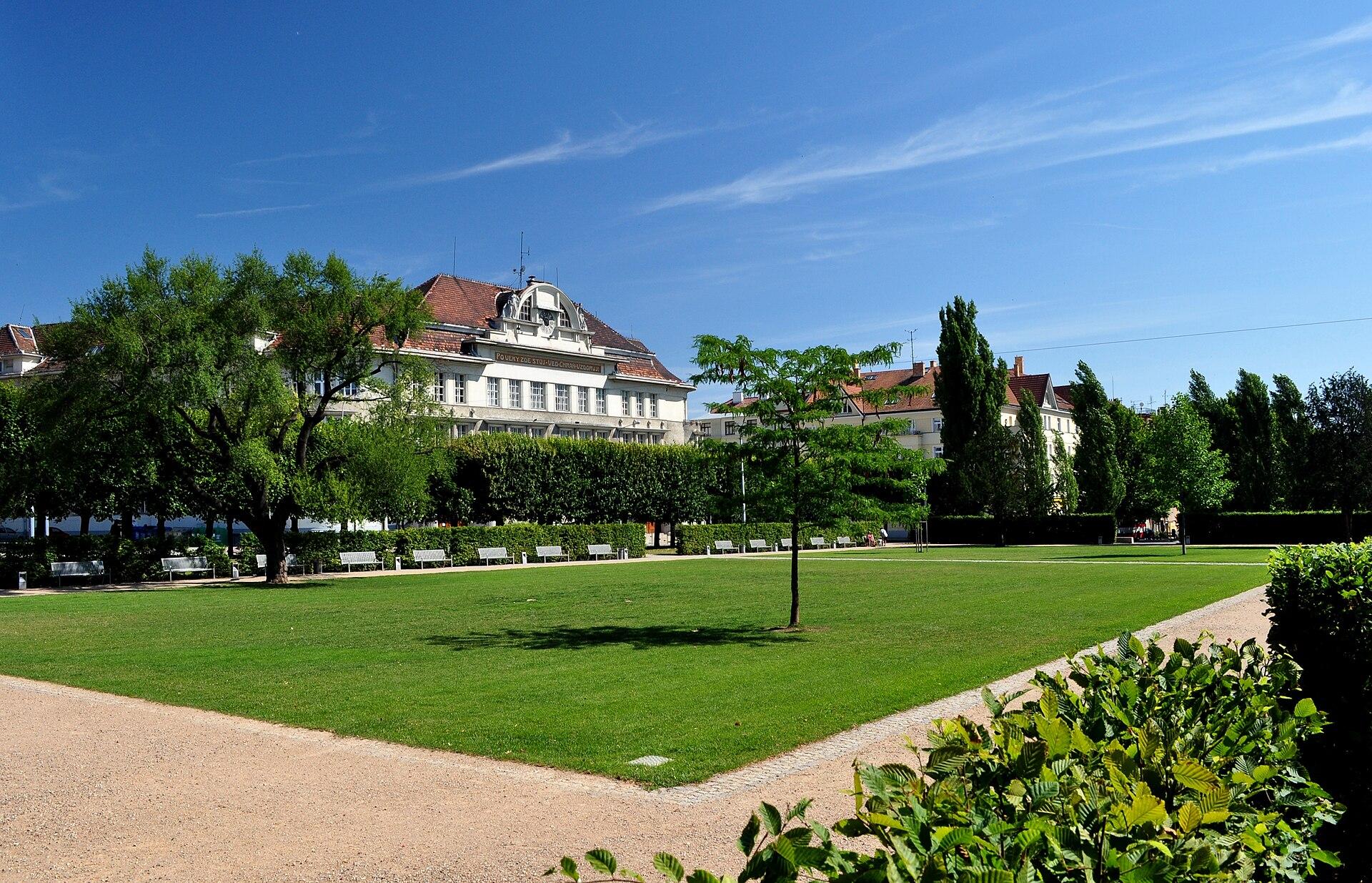 Obrázek