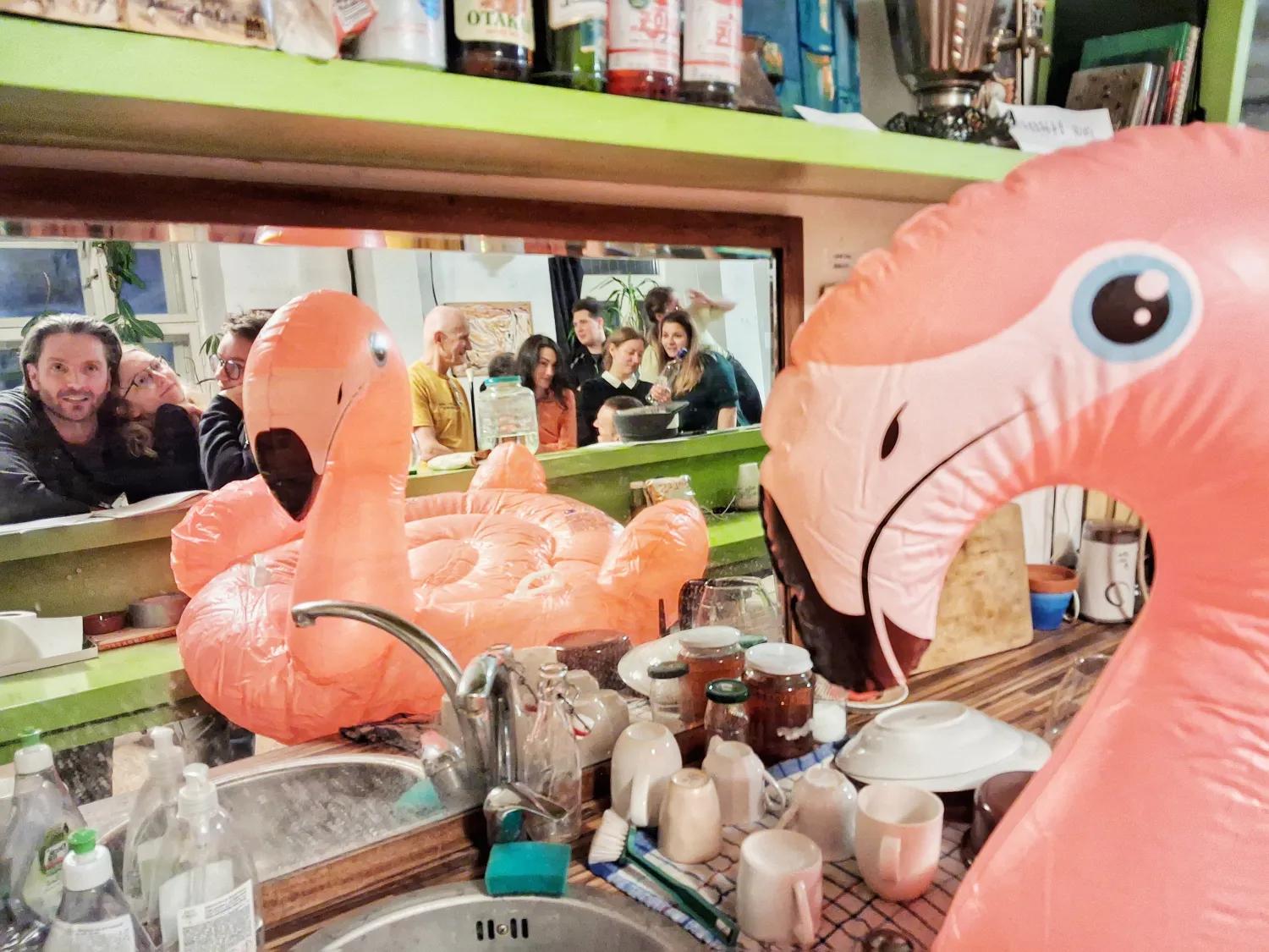 PREMIÉRA: If you váňa be my lover