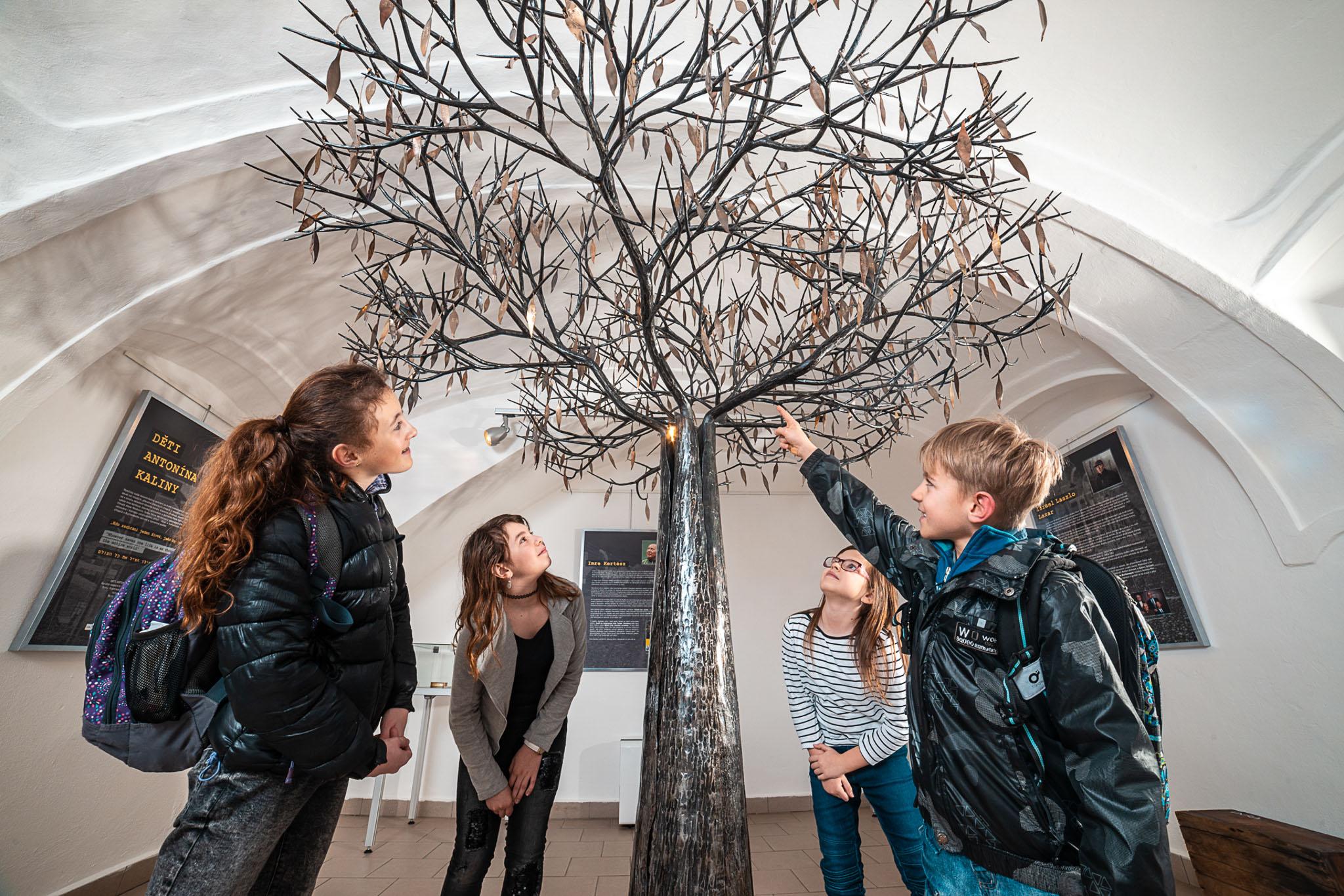 Hrdina z Třebíče: Antonín Kalina – muž, který v Buchenwaldu zachránil přes 900 dětí