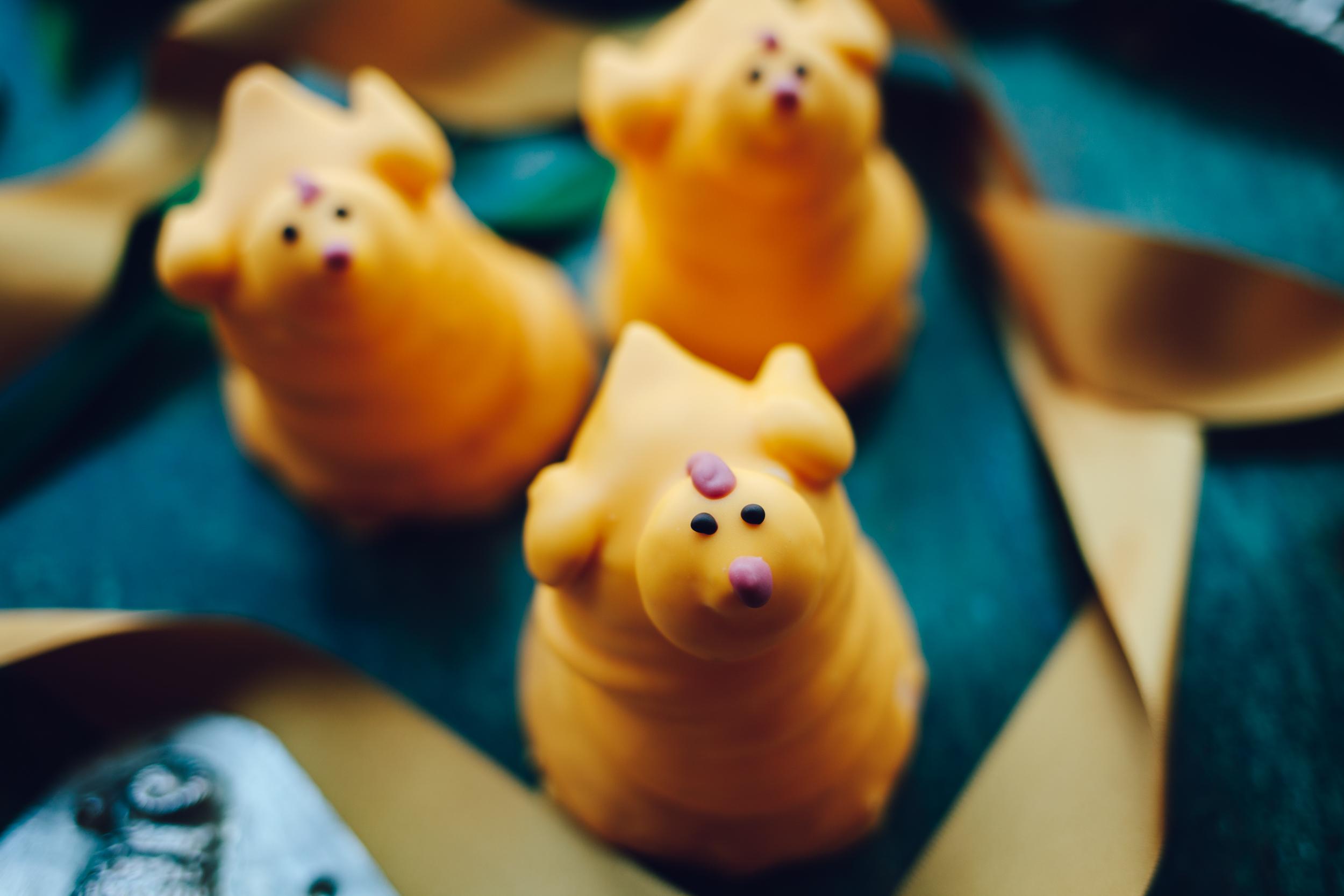 Těšit se můžete na tradiční kuřátka (indiánky)