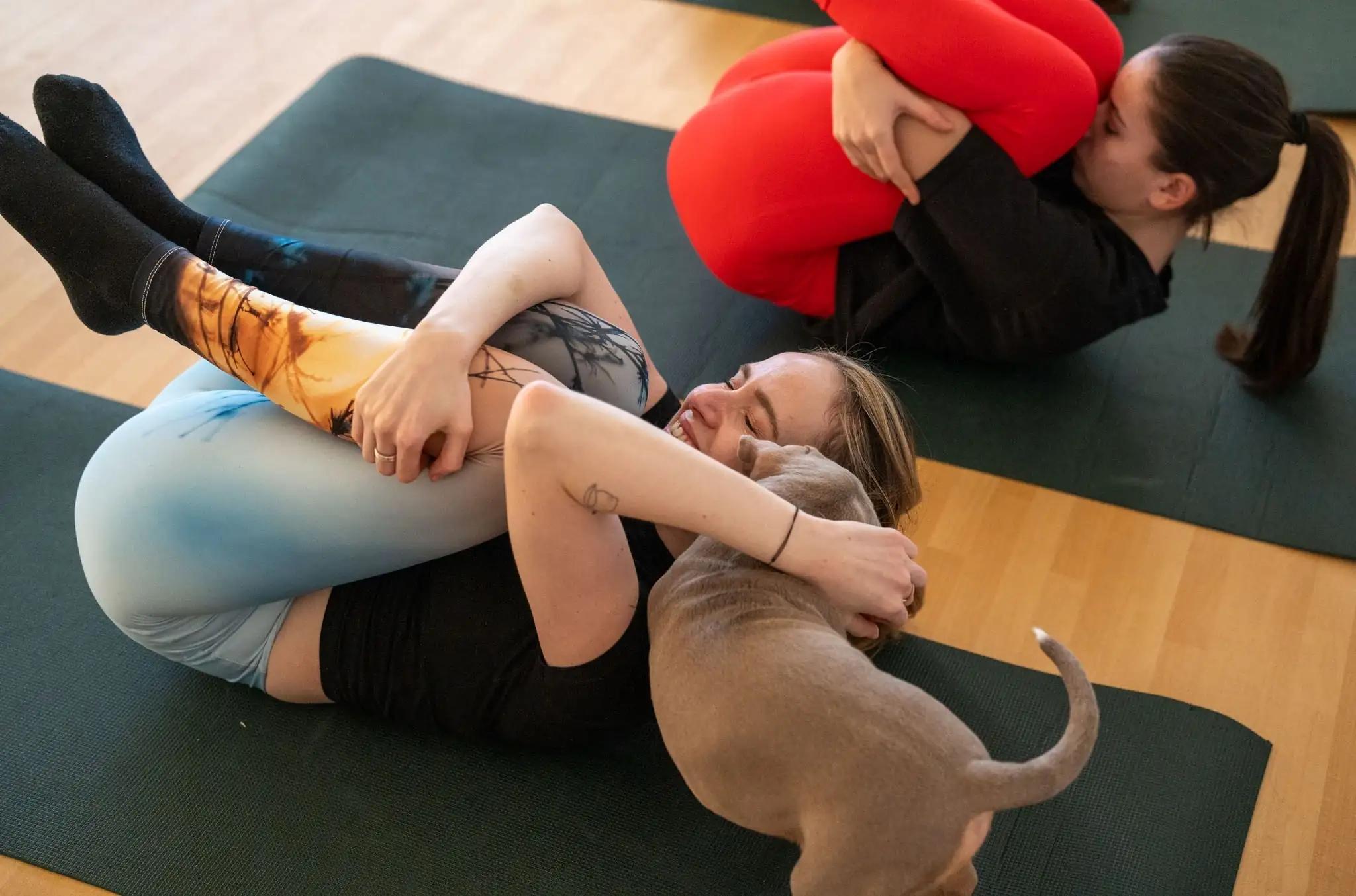 Jóga se štěňátky