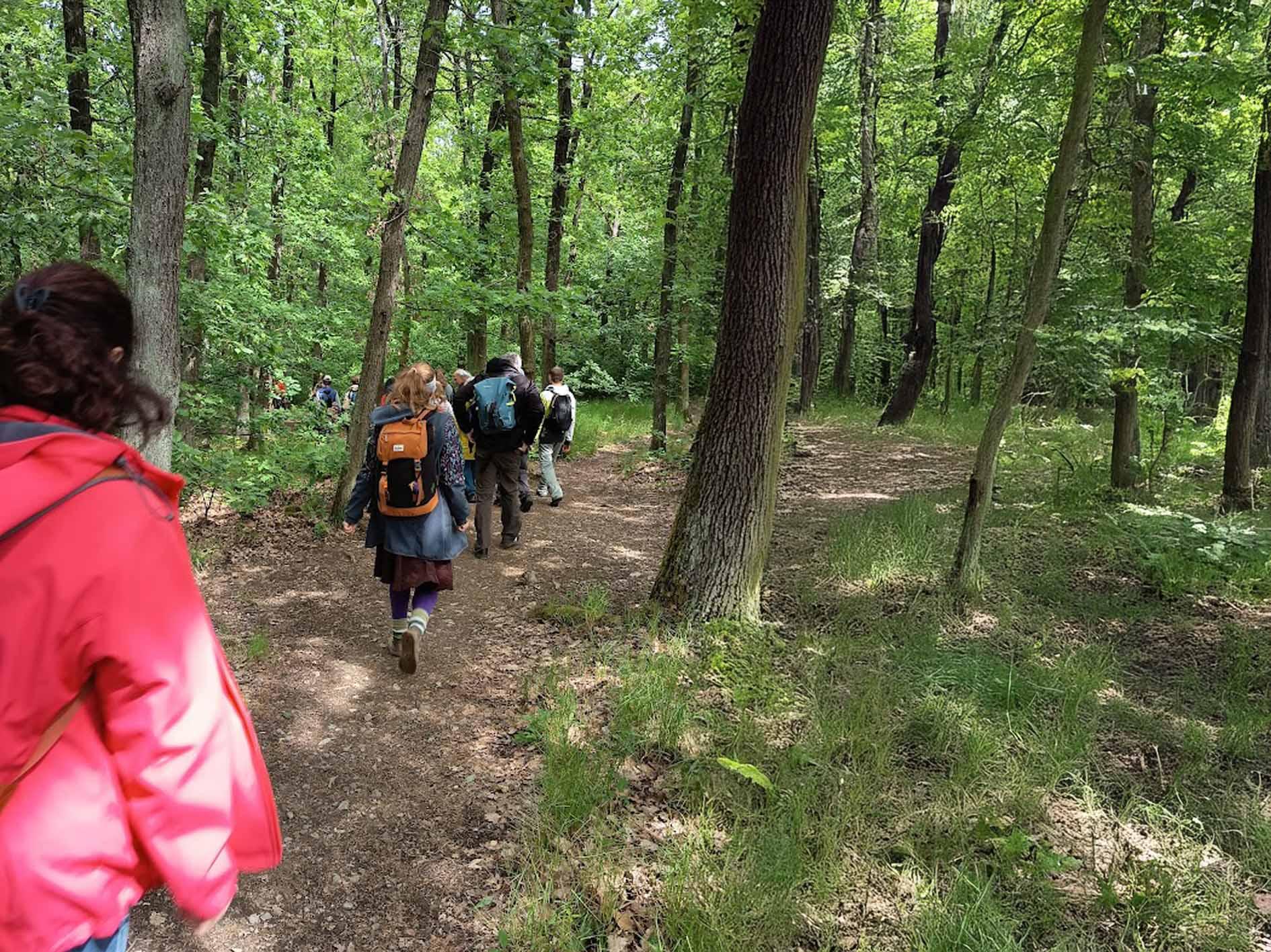 Odbor životního prostředí Magistrátu města Brna pořádá botanické procházky s odborným výkladem
