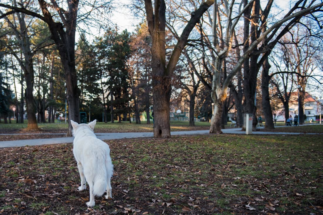 Park Schreberovy zahrádky kdysi býval hřbitovem, pak zahrádkářskou kolonií